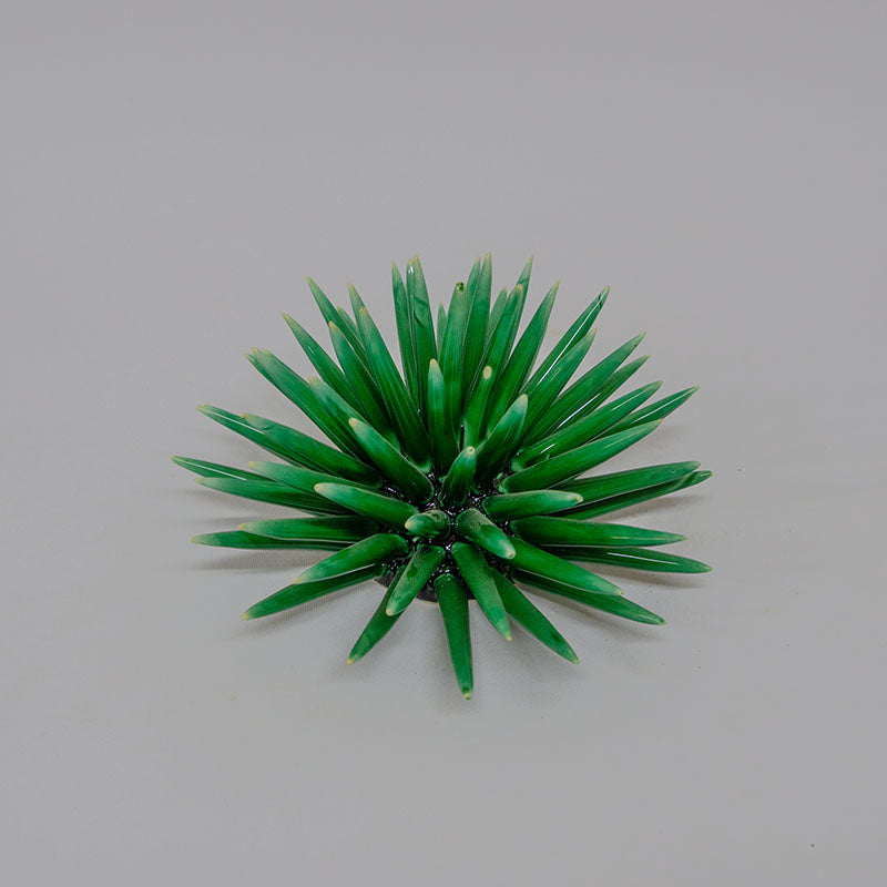 Riccio di Mare Verde Smeraldo 20cm