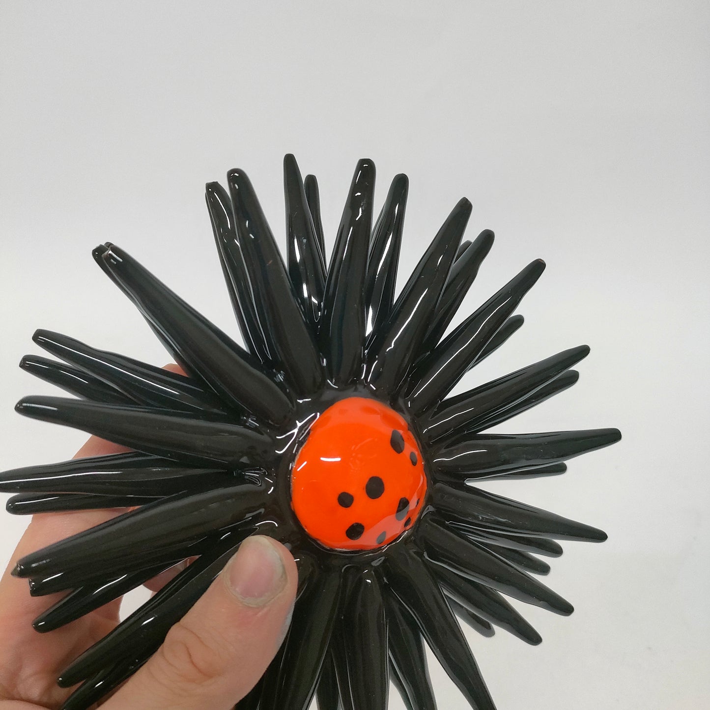 Riccio Aperto Bicolore Nero e Arancio 15 cm