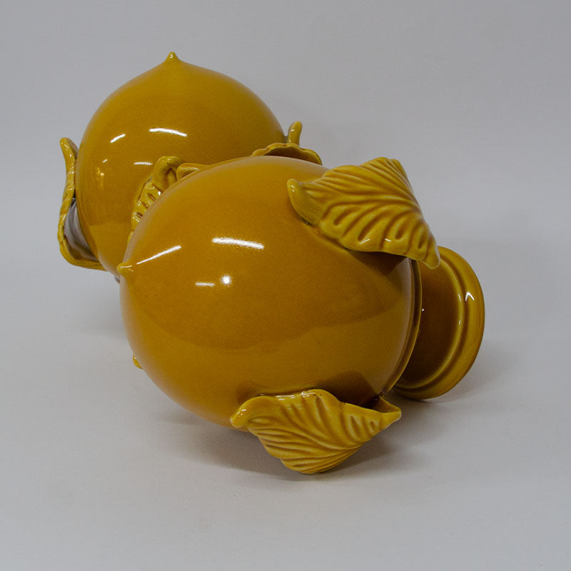 Pumo con Quattro Foglie Miele 20 cm