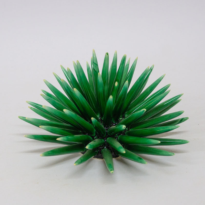 Riccio di Mare Verde Smeraldo 20cm