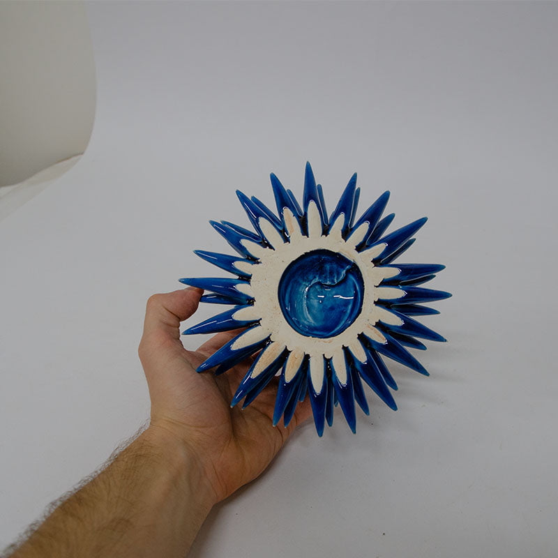 Riccio di Mare Azzurro 25cm