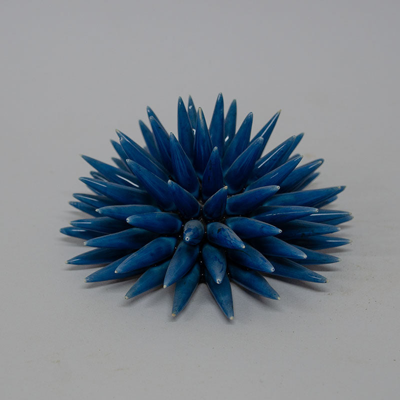 Riccio di Mare Azzurro 25cm