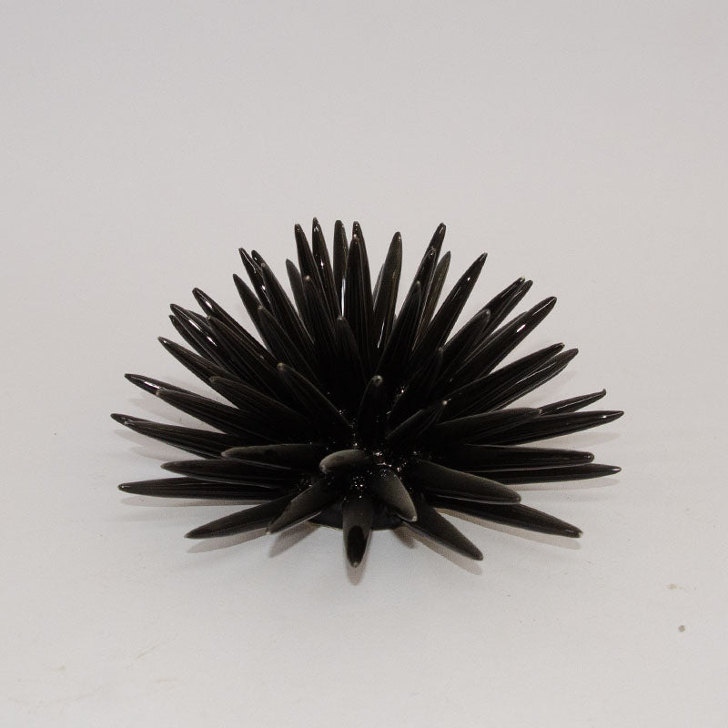 Riccio di Mare Modellato a Mano Nero 20cm