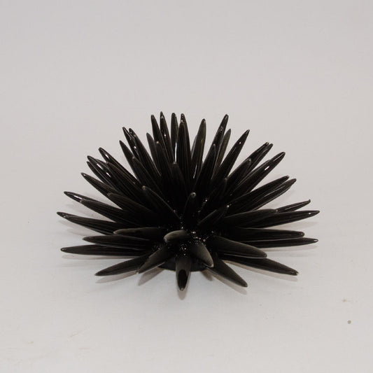 Riccio di Mare Modellato a Mano Nero 25cm