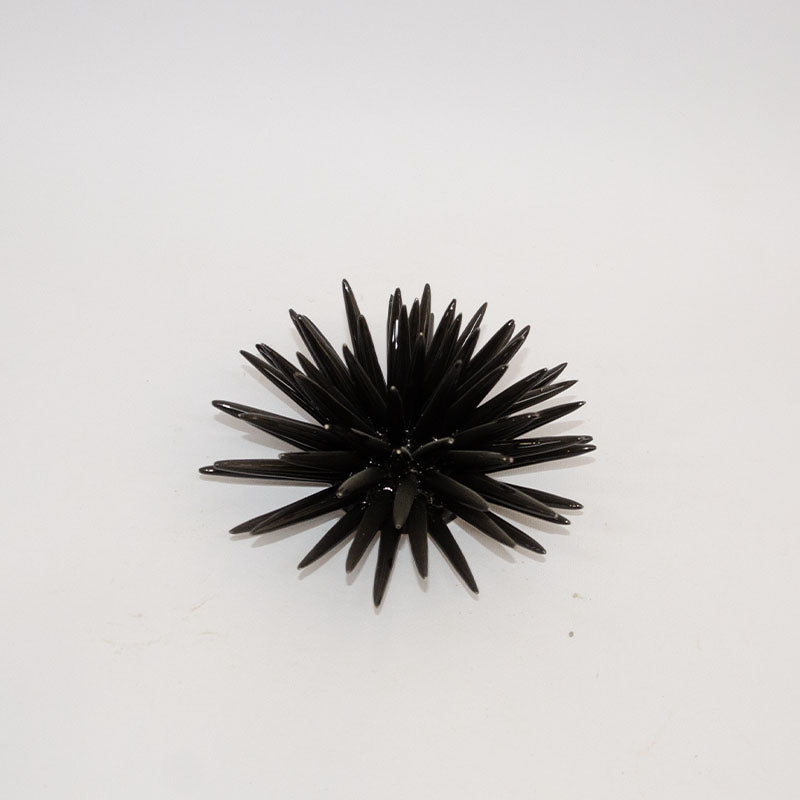 Riccio di Mare Modellato a Mano Nero 20cm