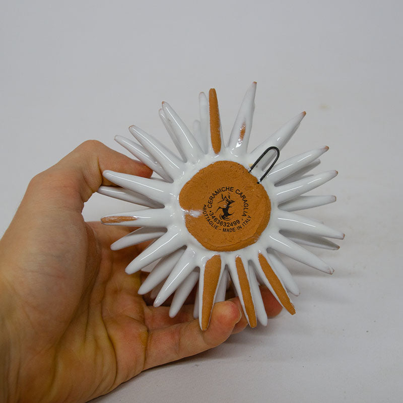 Riccio Grottagliese Bianco 15cm