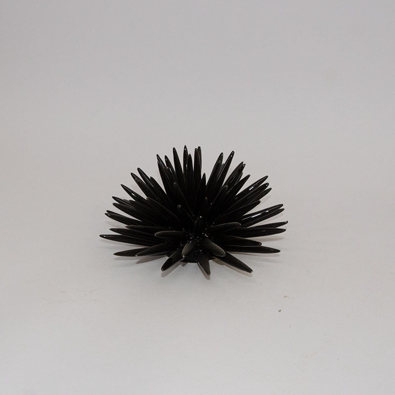Riccio di Mare Modellato a Mano Nero 20cm