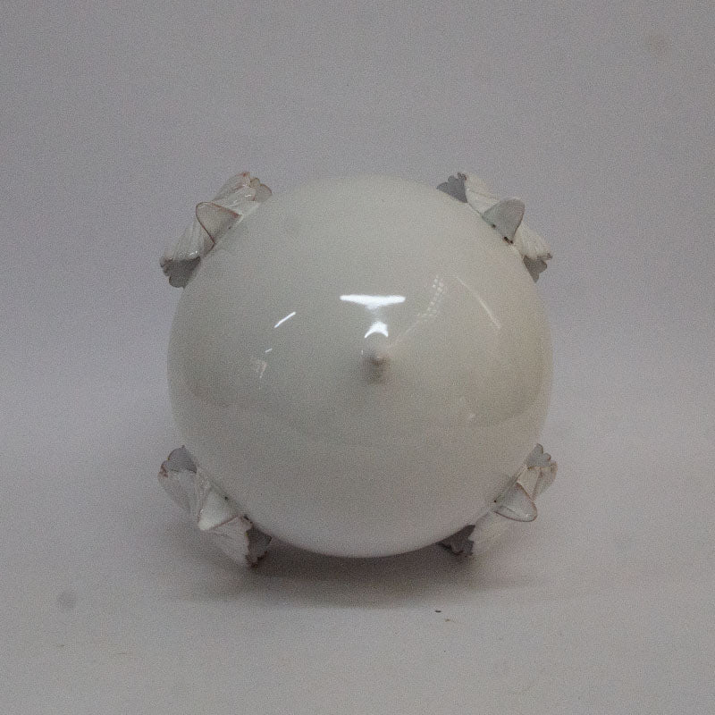 Pumo con Quattro Foglie Bianco 25cm