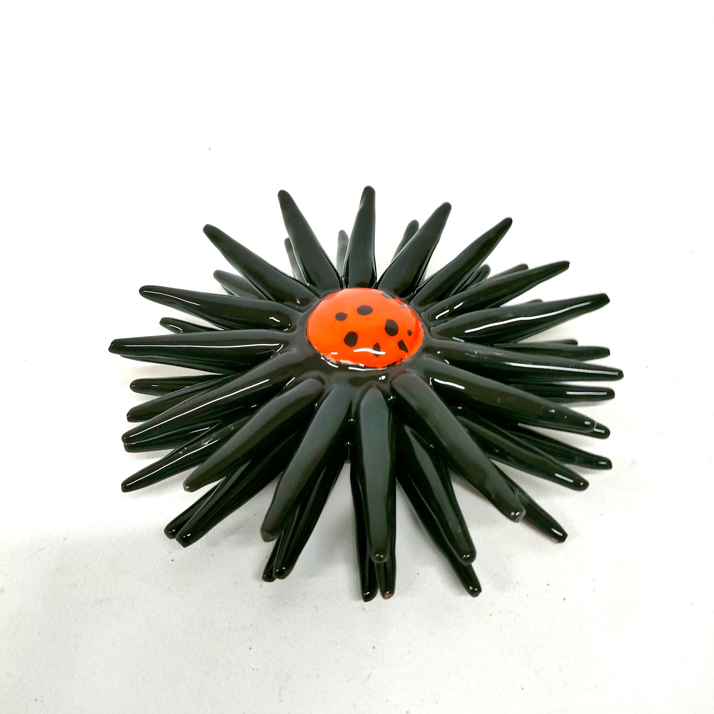Riccio Aperto Bicolore Nero e Arancio 15 cm