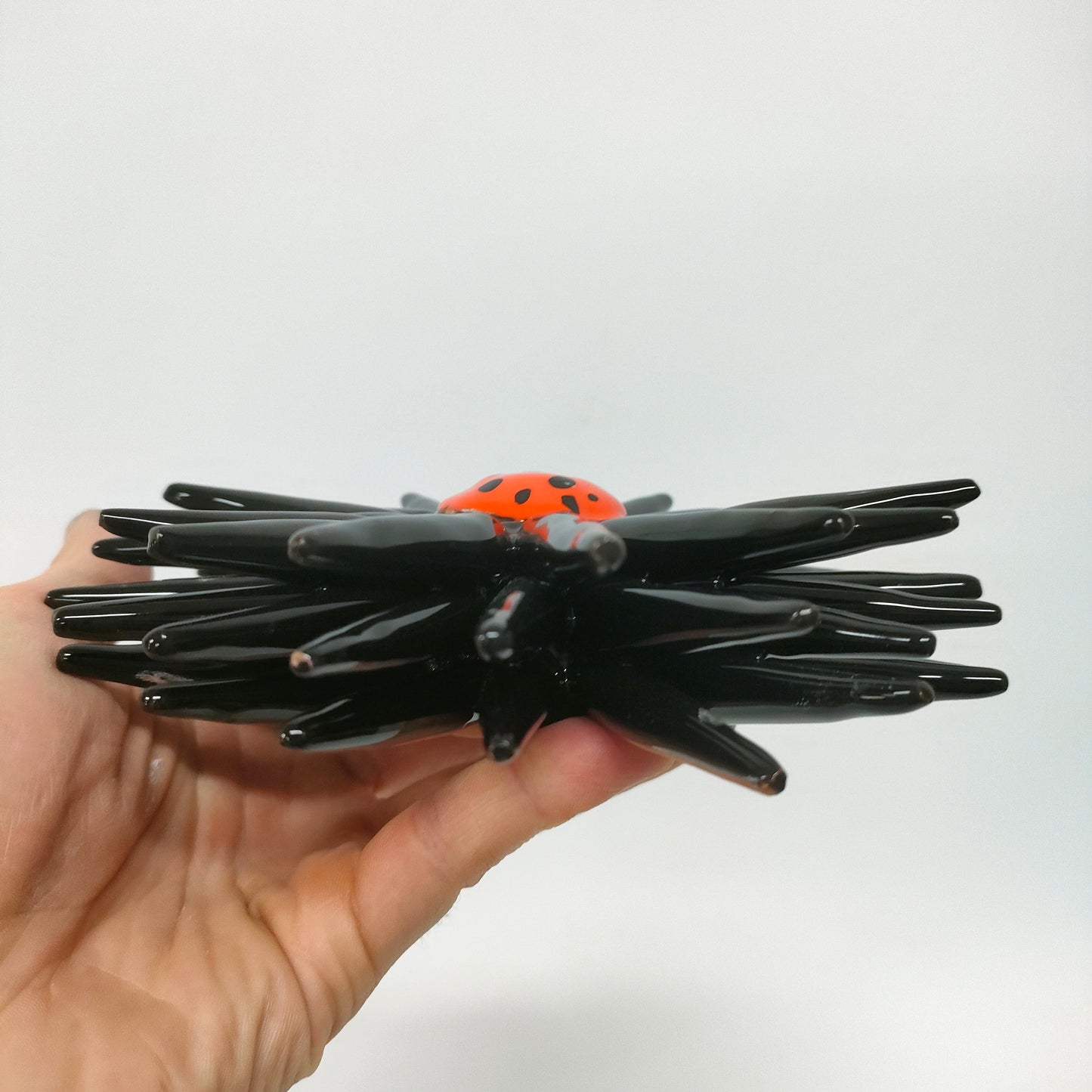 Riccio Aperto Bicolore Nero e Arancio 15 cm