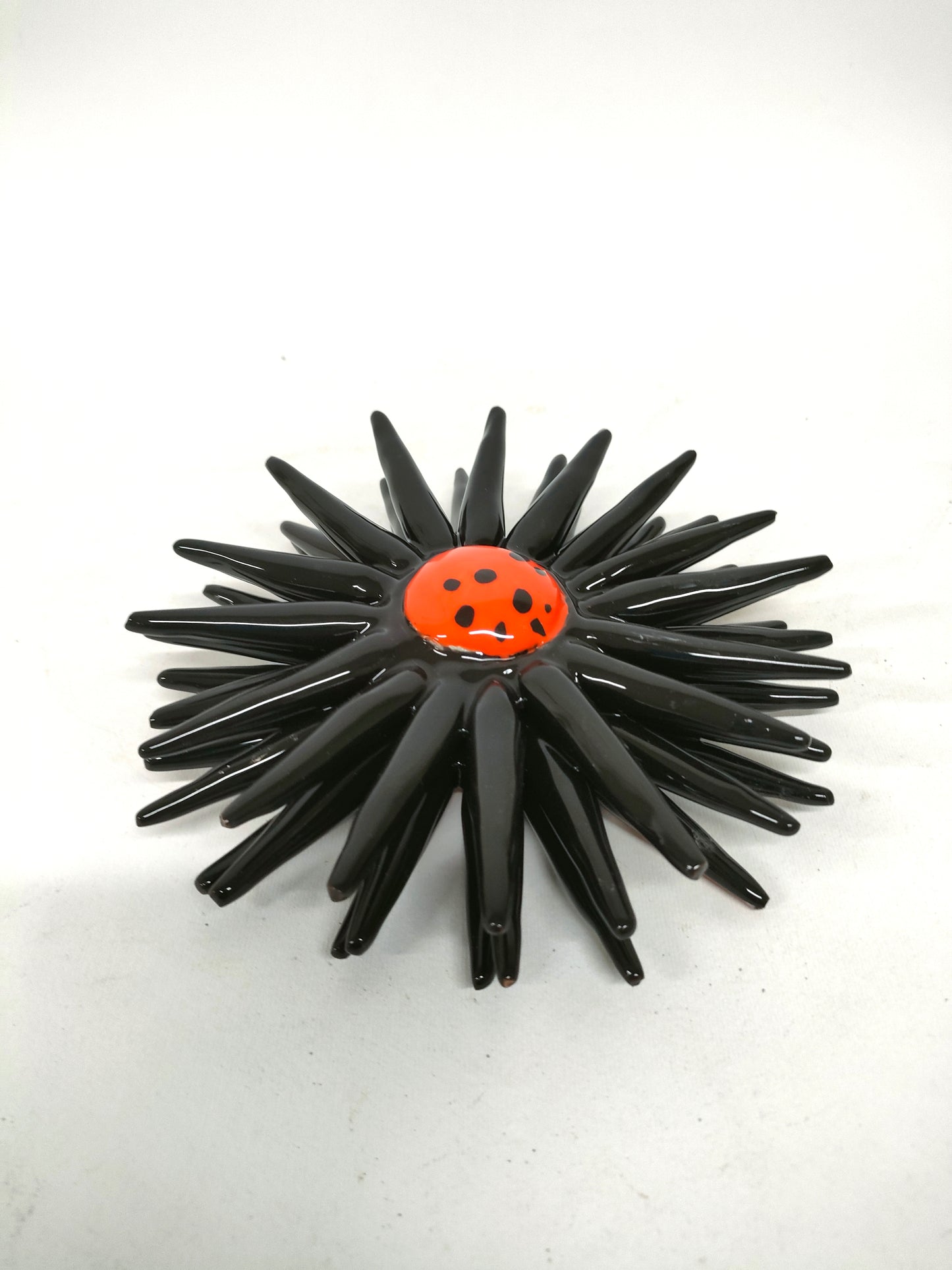 Riccio Aperto Bicolore Nero e Arancio 15 cm