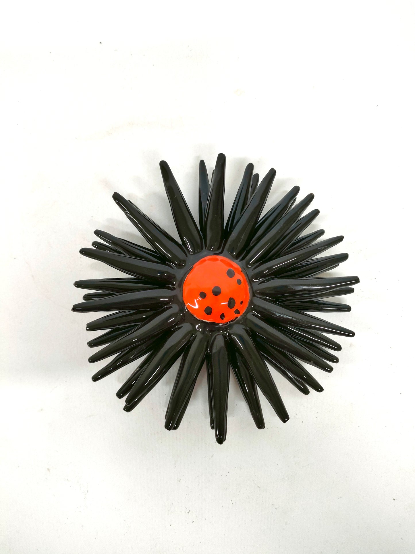 Riccio Aperto Bicolore Nero e Arancio 15 cm