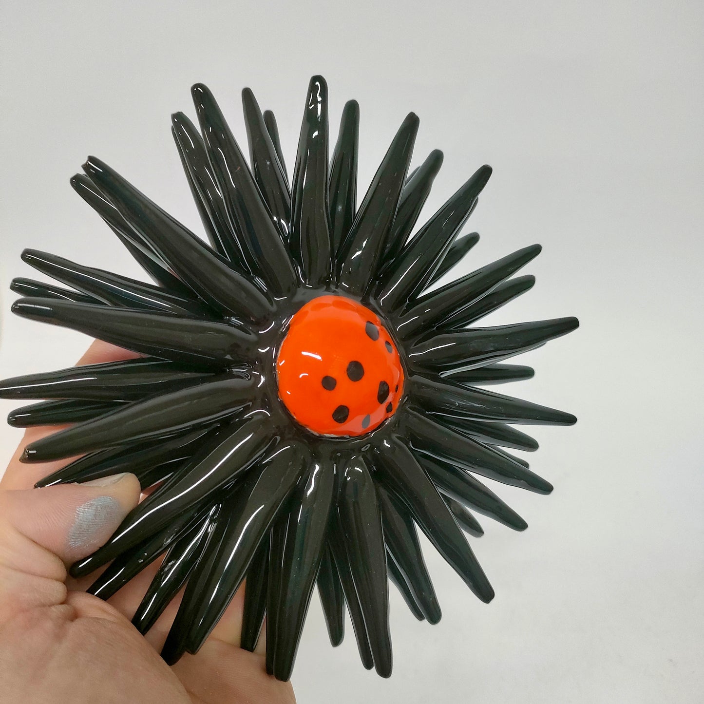 Riccio Aperto Bicolore Nero e Arancio 15 cm