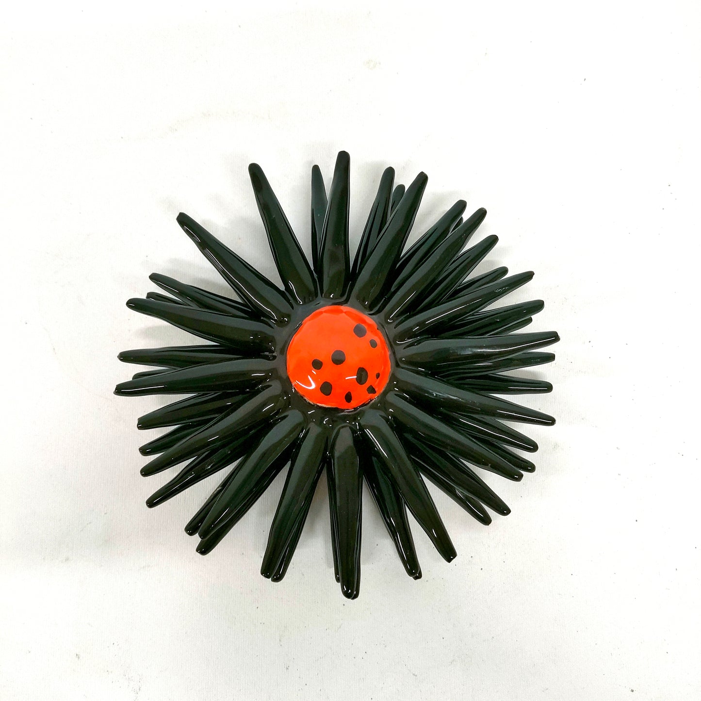 Riccio Aperto Bicolore Nero e Arancio 15 cm