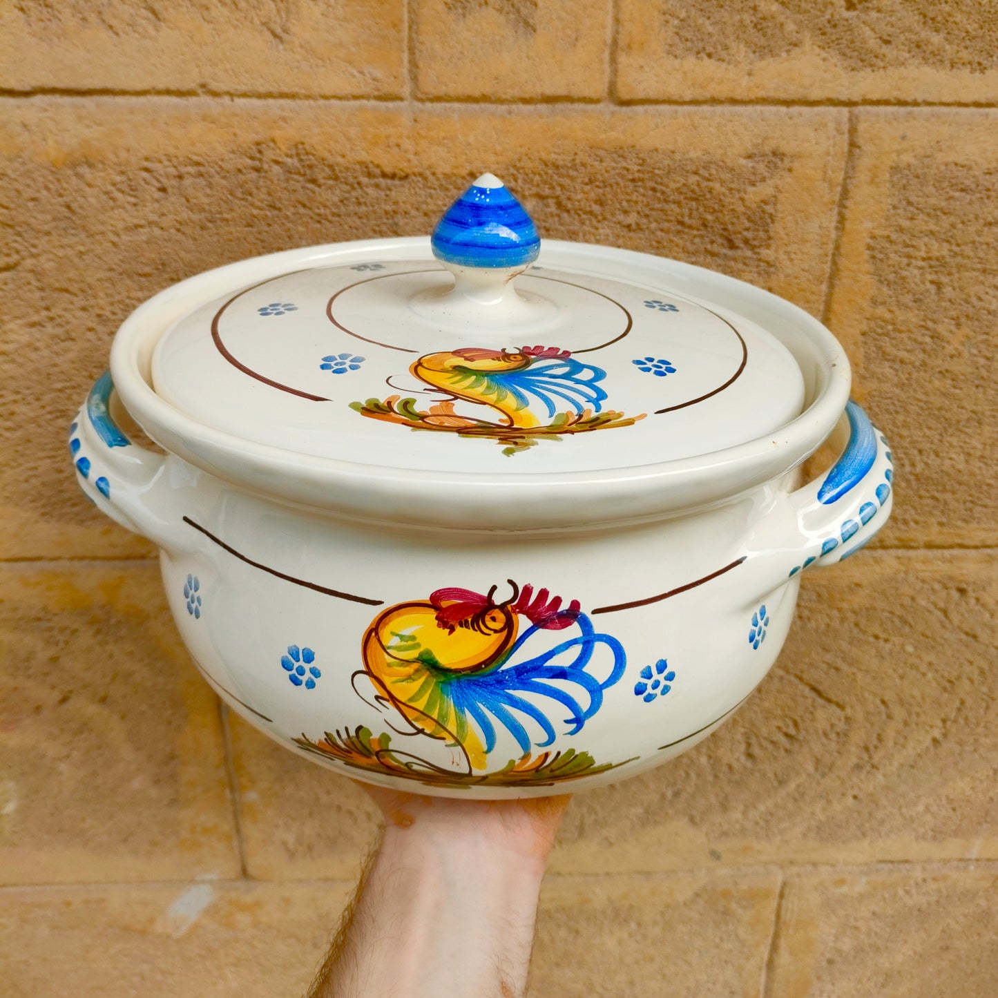 Zuppiera con Gallo Decorato a Mano 25 cm