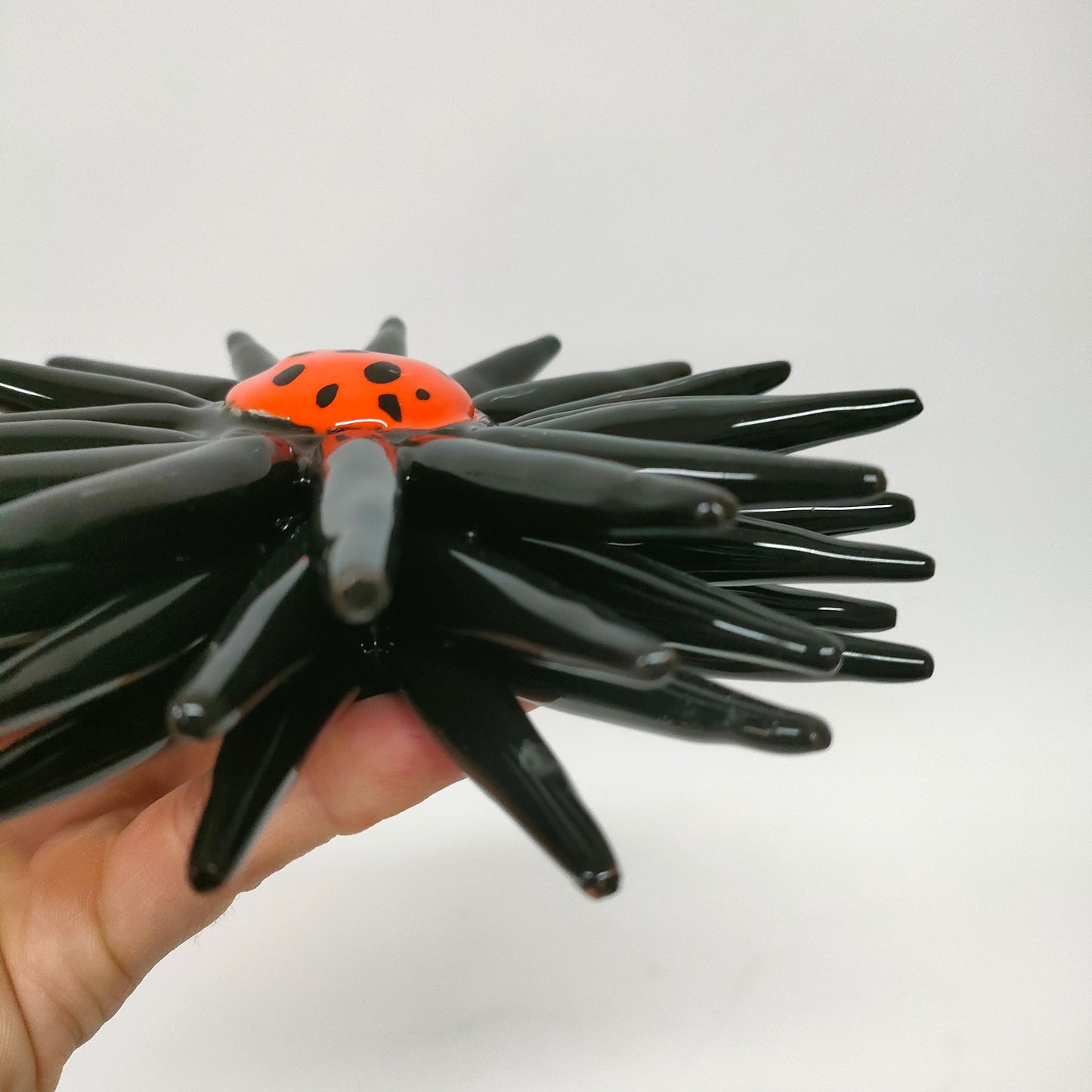 Riccio Aperto Bicolore Nero e Arancio 15 cm