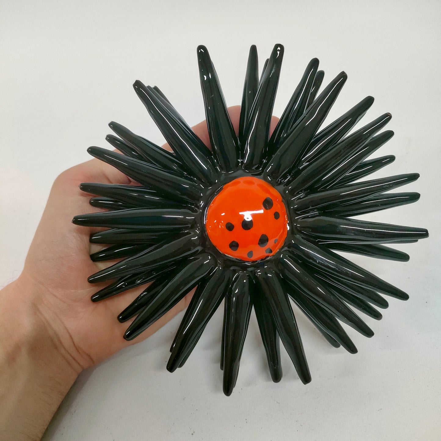 Riccio Aperto Bicolore Nero e Arancio 15 cm