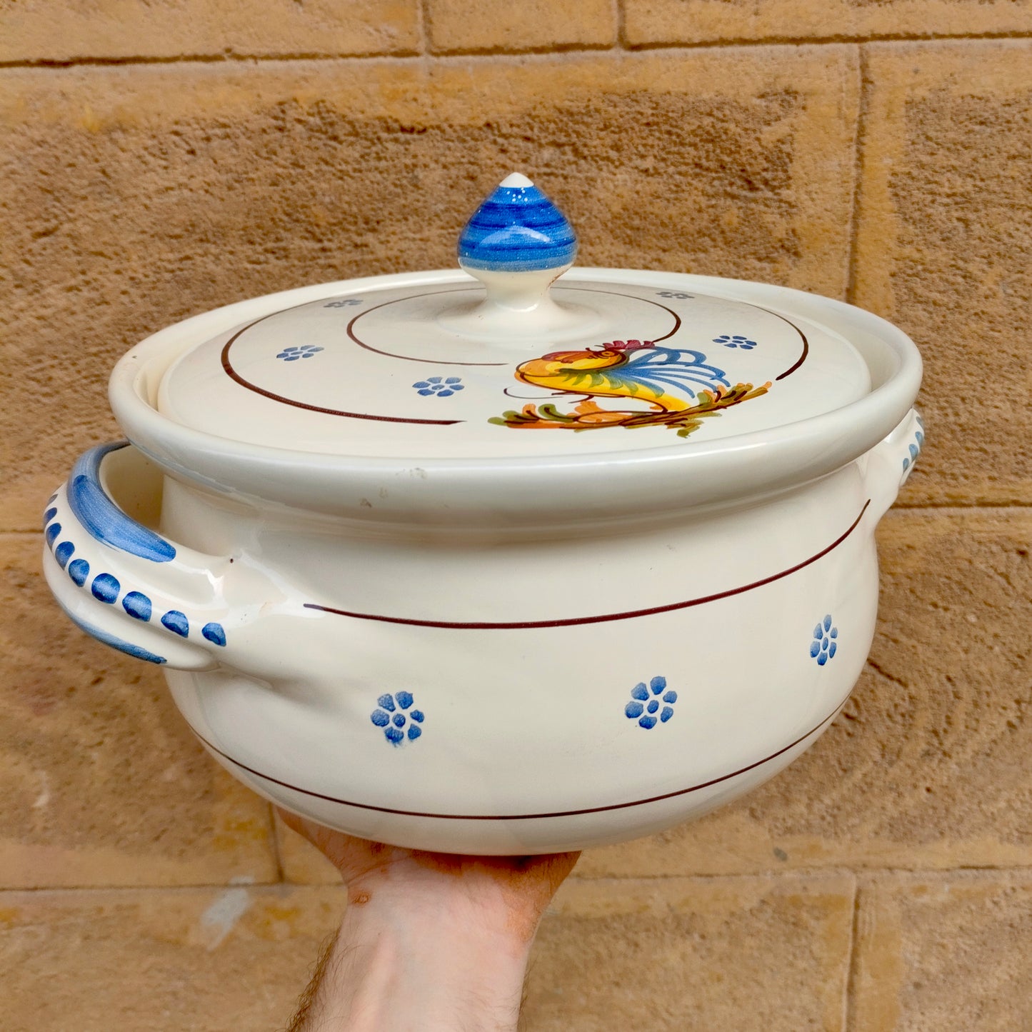 Zuppiera con Gallo Decorato a Mano 25 cm