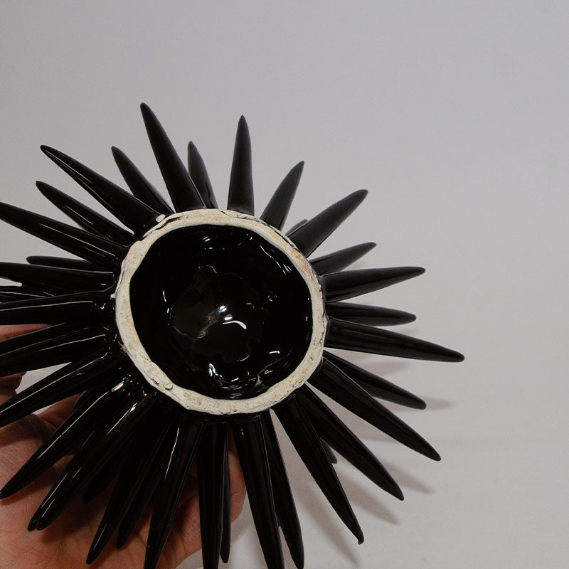 Riccio di Mare Modellato a Mano Nero 20cm